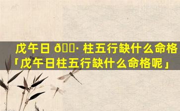 戊午日 🌷 柱五行缺什么命格「戊午日柱五行缺什么命格呢」